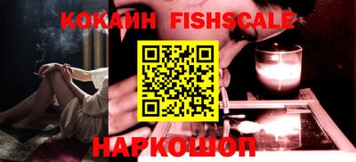 гидра Будённовск