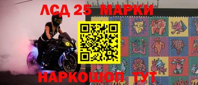 гидра Будённовск
