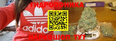 молекула духа Бузулук