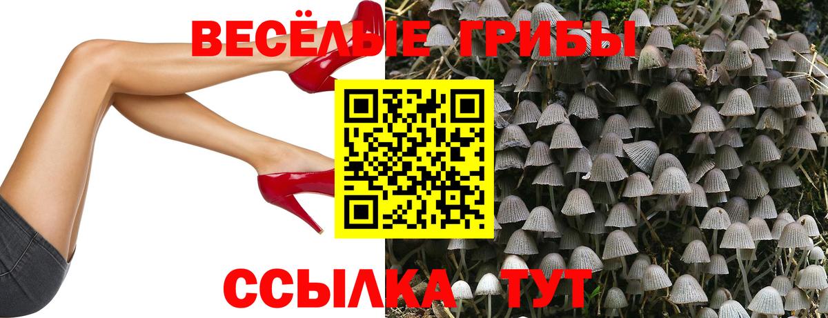 Галлюциногенные грибы мицелий Тельмана