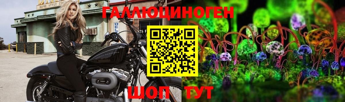 Псилоцибиновые грибы MAGIC MUSHROOMS  Вход с VPN  Тельмана 
